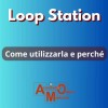 Fig_00_loopstation